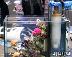 TEMA 10: Tipos de filtro para acuario - Curso de acuariofilia GRATIS